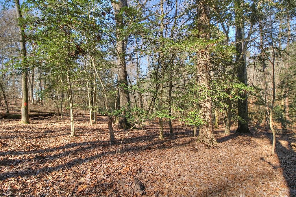 260 Elm Dr, Etoile, TX 75944 MLS 72572 Zillow