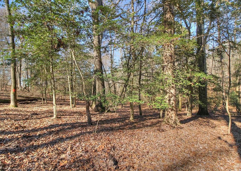 260 Elm Dr, Etoile, TX 75944 Zillow