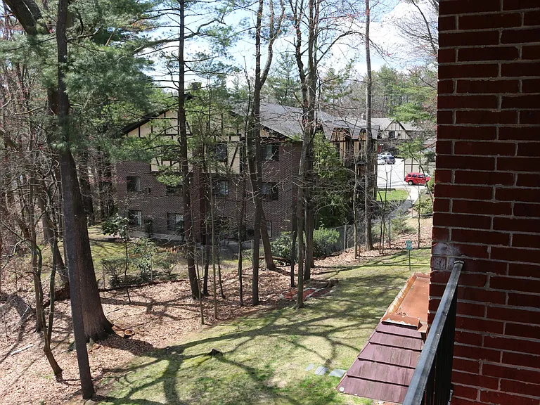 Beautiful, calm wooded view from deck