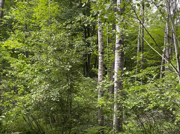 Campbell Road 4 & Pcl #Pcl-6, Florence, WI 54121