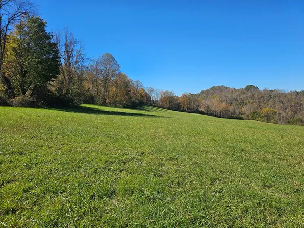 Wildwood Dr, Cedar Bluff, VA 24609