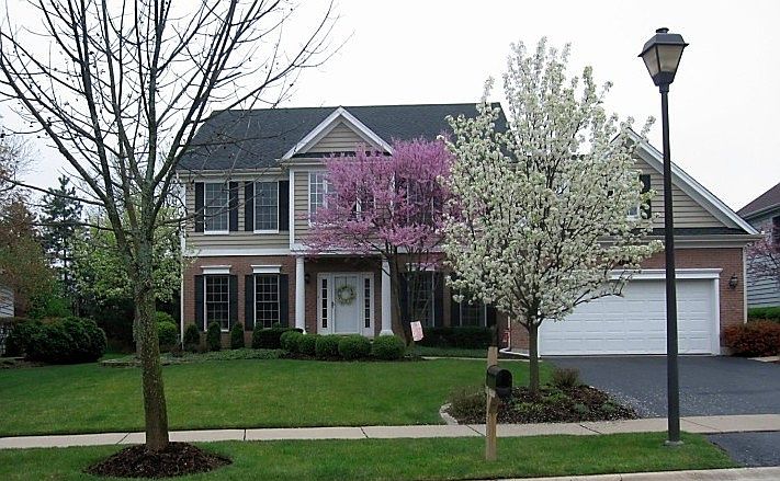 Gorgeous views of front of home!