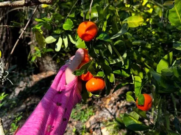 5011 249th St E, Myakka City, FL 34251