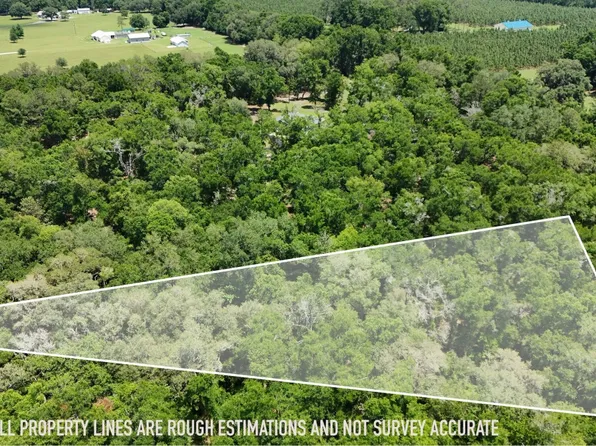 0 SW Meadow Wood Gln, Lake City, FL 32024
