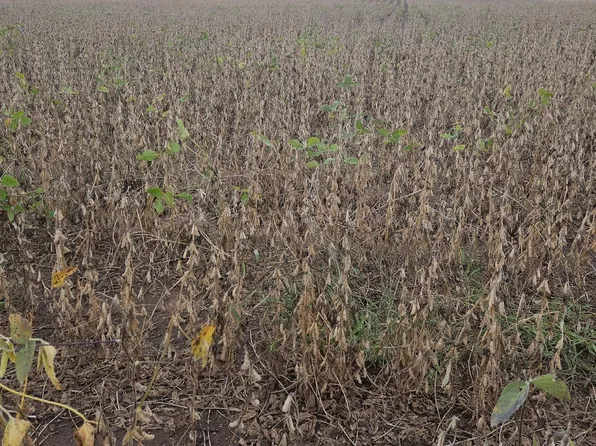 County Road C, Elmwood, WI 54740