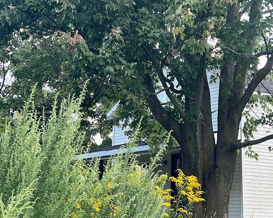 1st image of 2056 Morrow Ln