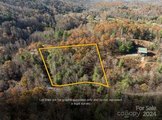 99999 Big Raven Ln, Saluda, NC 28773