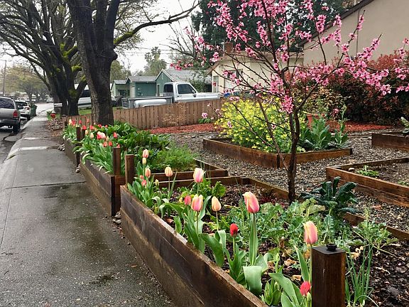 Front yard with garden beds