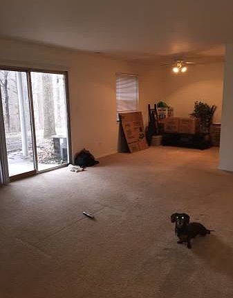 5th image of 1829 Cholla Ct APT B