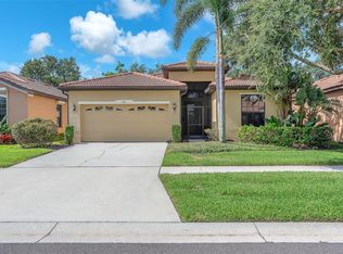 321 Silver Falls Dr, Apollo Beach, FL 33572