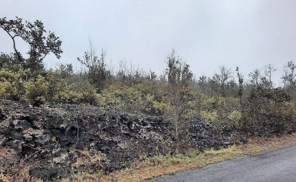 2nd image of Catamaran Ln Lot 13