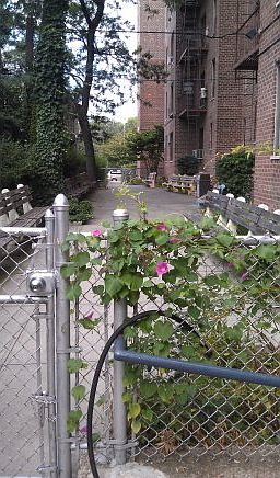 2nd image of 1811 Ocean Pkwy APT 5I