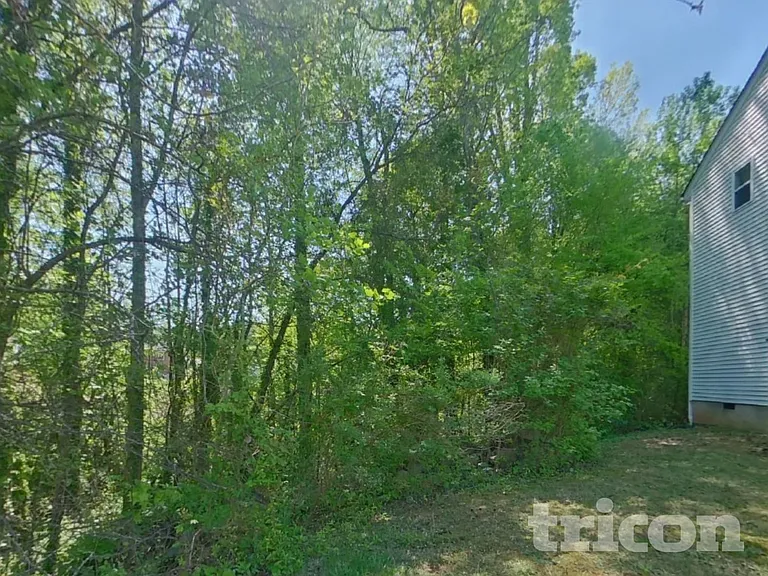 412 Bent Leaf Ct — Photo 18