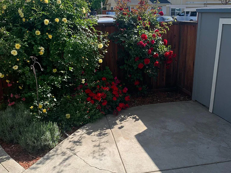 1443 Spring Valley Cmn — Photo 31