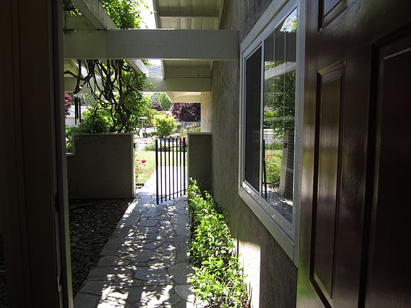 Wisteria Shaded Courtyard