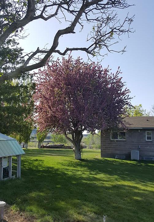 2nd image of 23218 State Highway 17 N
