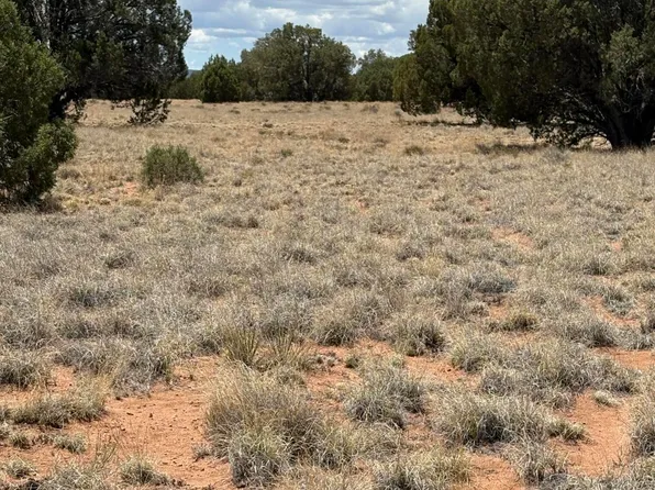 15 Pine Ln, Concho, AZ 85924