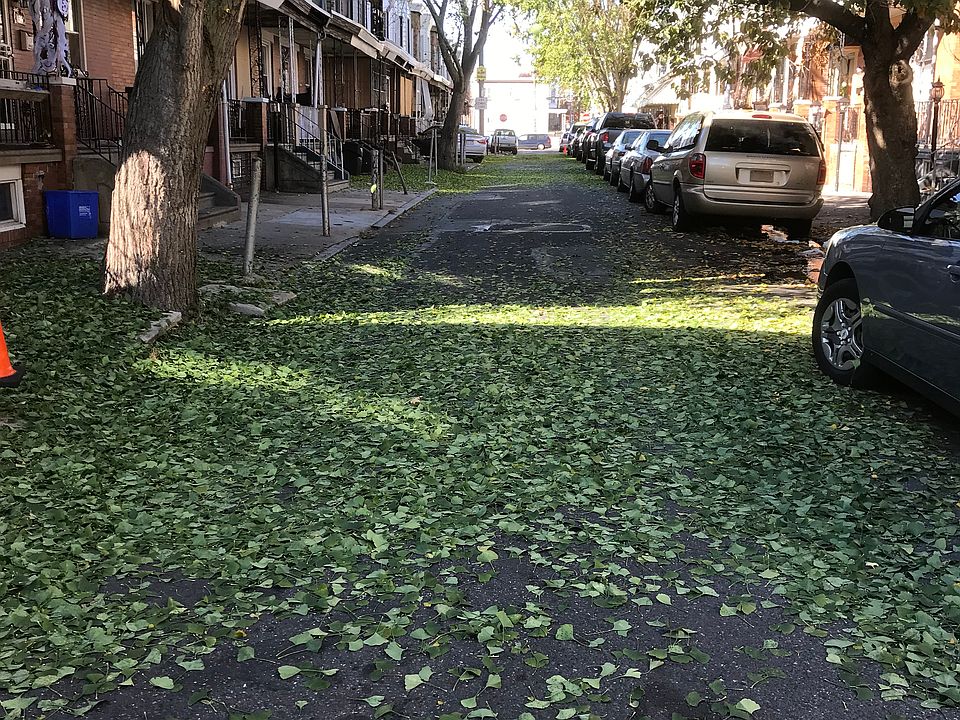 2nd image of 736 E Thayer St