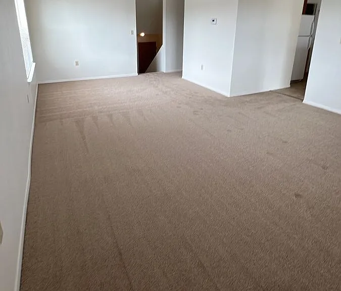 1162 Dakota Dr — Photo 3