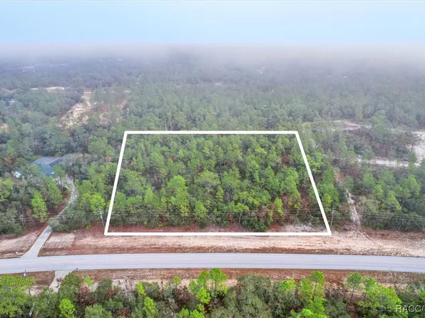 6328 W Pine Ridge Blvd, Beverly Hills, FL 34465