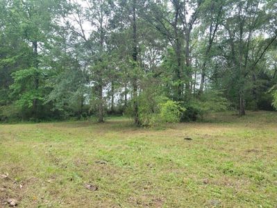 Hankins Dr, Dover, AR, 72837