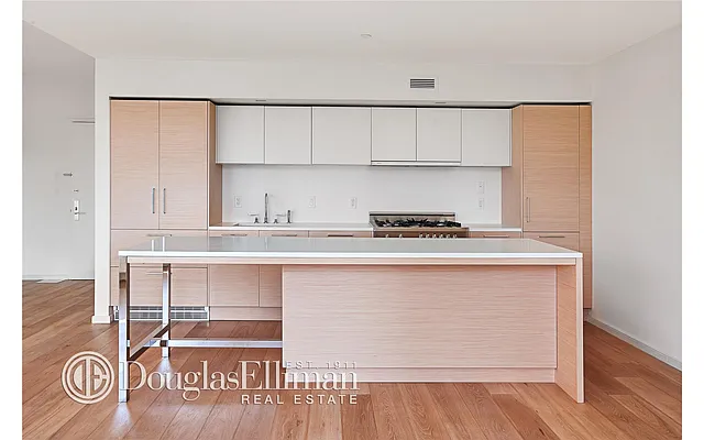 Rented by Douglas Elliman | media 38
