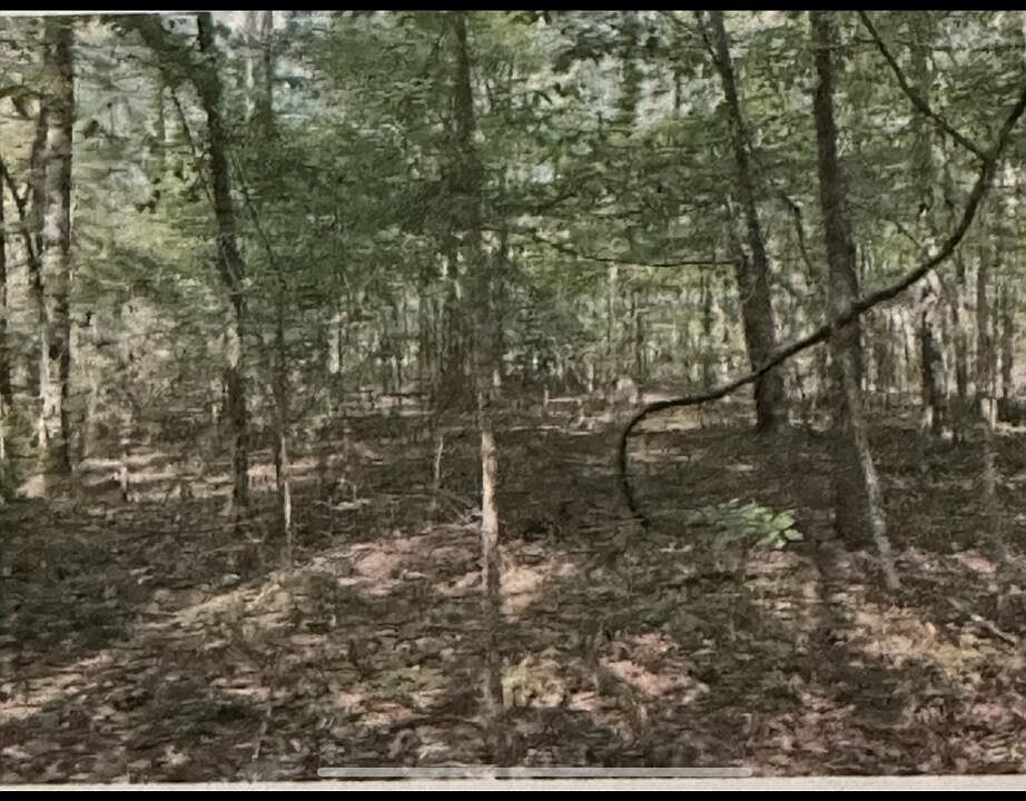 2nd image of Stigler Rosa Dr