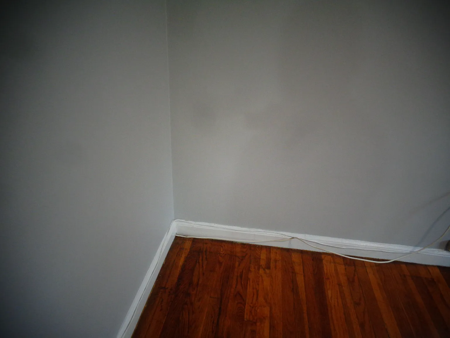 Gill Rd, Waltham — Photo 3