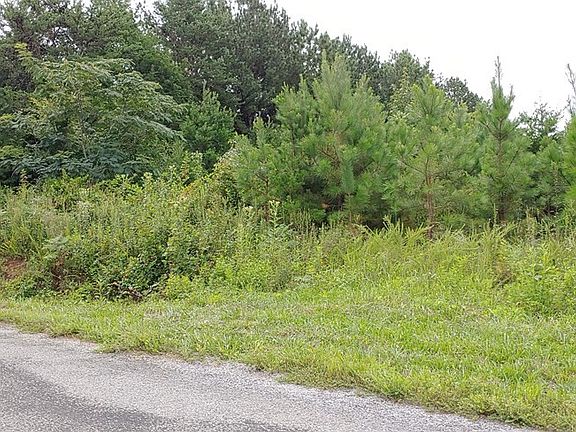 4th image of 669 County Road 271