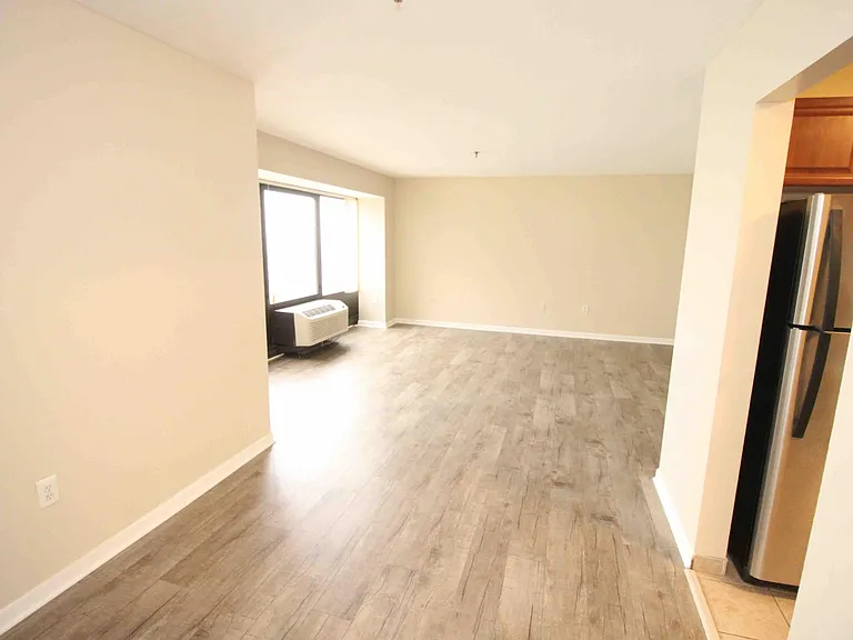 1001 W Jefferson Ave #300/29D — Photo 5