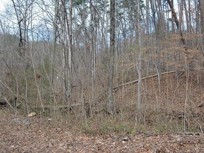 Magnolia Ave, Dayton, TN, 37321