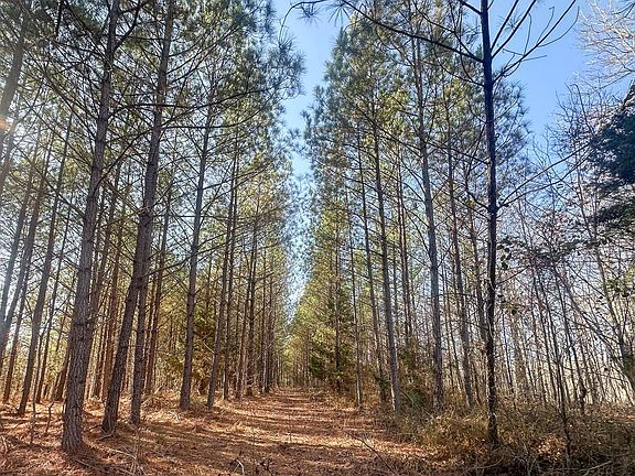 Compass South Land Sales Tennessee Hwy 412 N Tract 2 05
