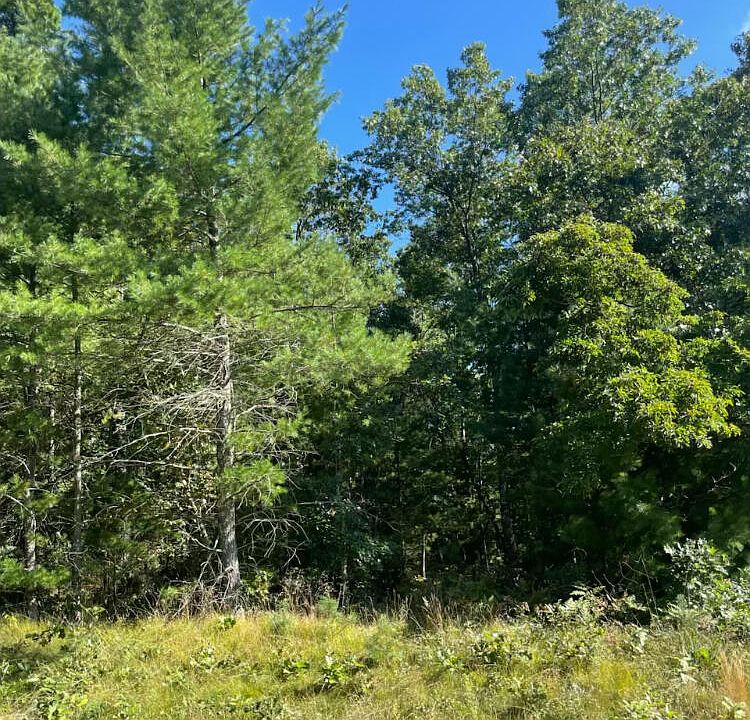 1st image of 1365 Estate St Lot 2
