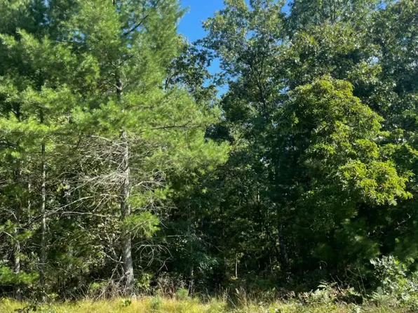 1365 Estate St Lot 2, Whitehall, MI 49461
