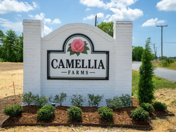 Noelle Plan, Camellia Farms