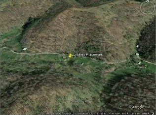 534 Broad Run, Left Hand, WV 25251