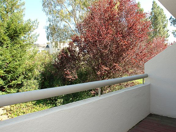 3rd image of 1714 Alder Creek Ct