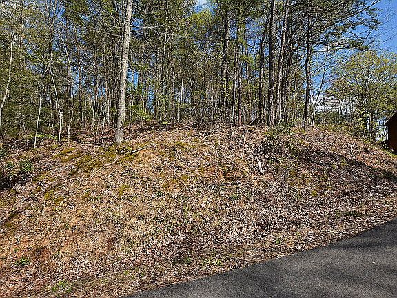 3rd image of 194195 Ski View Ln