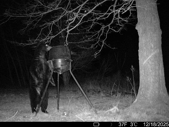 5th image of 0 Poplar Springs Rd