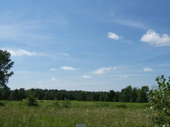 1 Tubspring Road Ashley Ln, Allenton, MI 48002