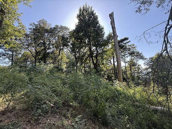 2nd image of 4645 Carters Ferry Rd E