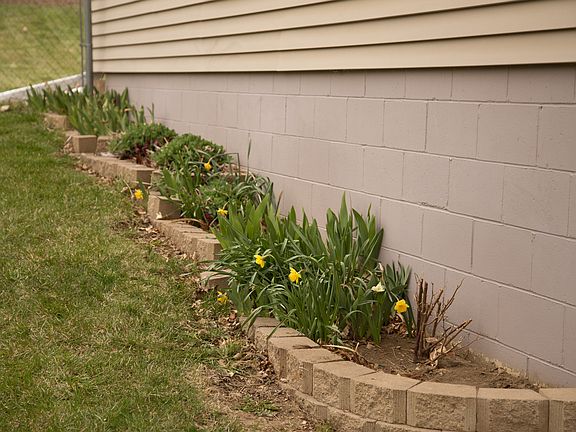 South Wall Garden/Yard 