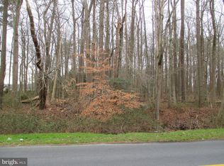 0 E Rte #370, Frankford, DE 19945