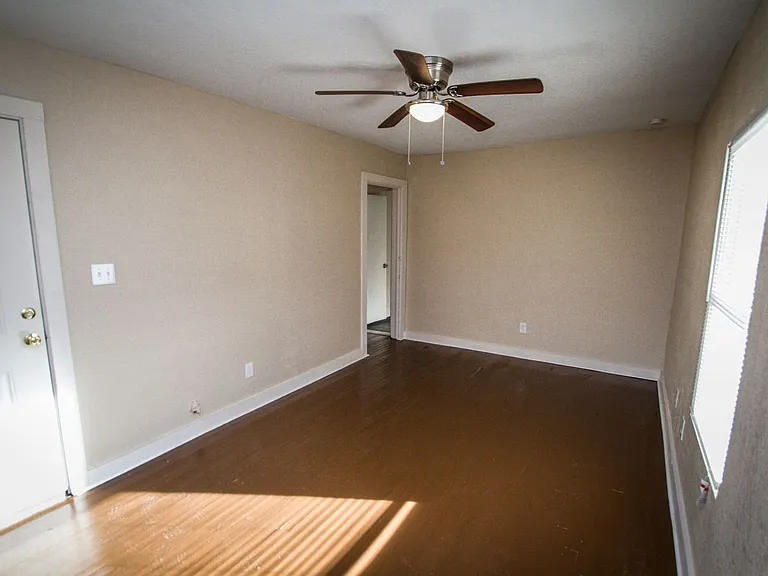 936 Poinsettia — Photo 17