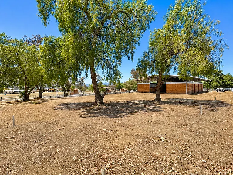 23510 Rose Quartz Dr — Photo 7