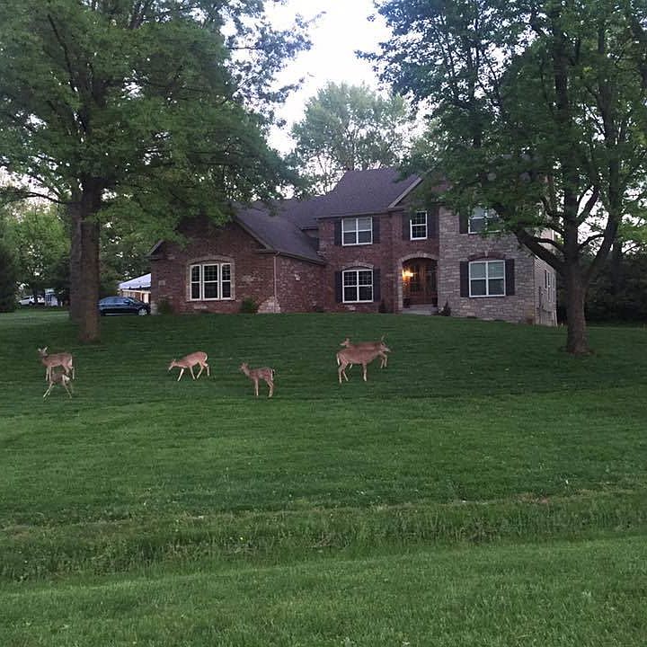 1st image of 13 Beacon Hill Ln
