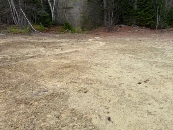 Lot 7 Bog Road, Enfield, NH 03748