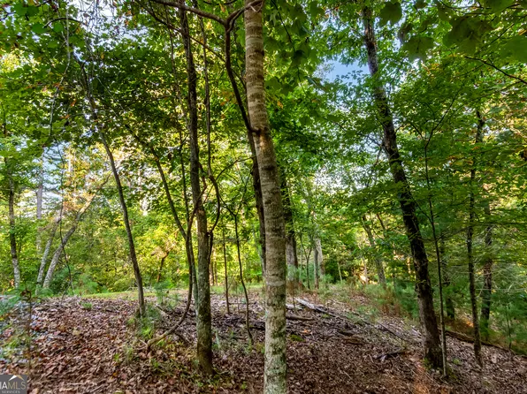 LOT-2076R Parody Cir, Ellijay, GA 30540
