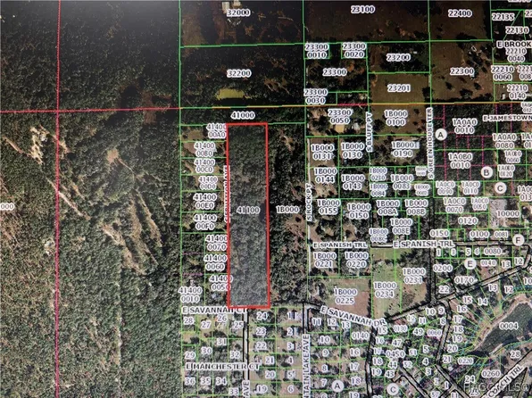 7373 E Savannah Ct, Floral City, FL 34436