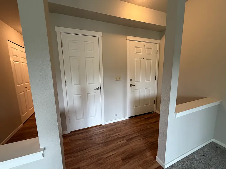 large entry closet with the entry door on the right